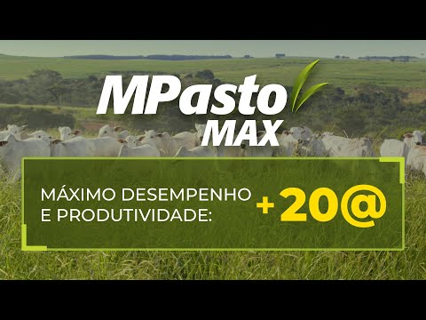 MPasto desempenho e produtividade