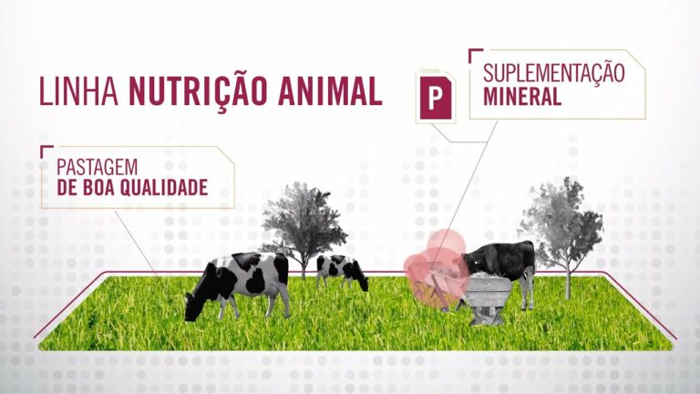 Nutrição Animal