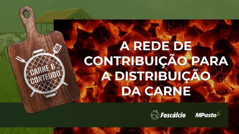 Distribuição de carne