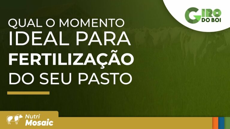 Fertilização do seu pasto