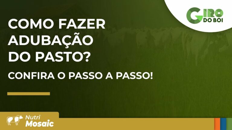 Como fazer adubação de pasto