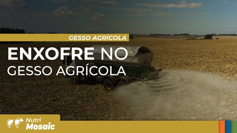 Enxofre e gesso agrícola