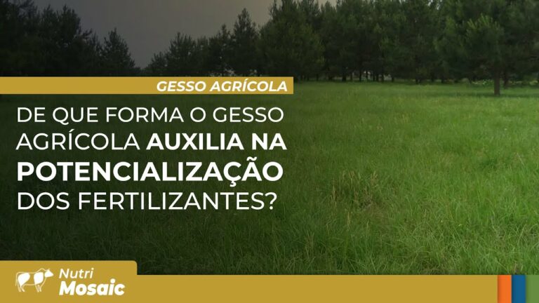 Gesso agrícola