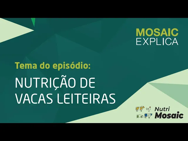 Nutrição de vacas leiteiras