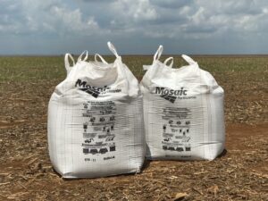 big-bags-mosaic-fertilizantes