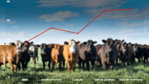 Rebanho bovino com gráfico de linha em destaque com números de índices produtivos