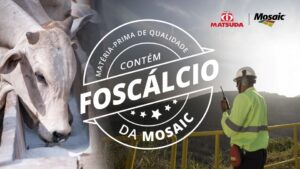 matéria-prima-de-qualidade-foscálcio