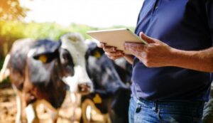 produtor na fazenda olhando o tablet - pecuária de precisão