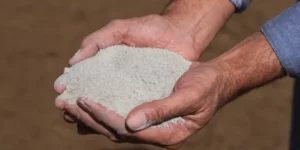 suplementação mineral na pecuária
